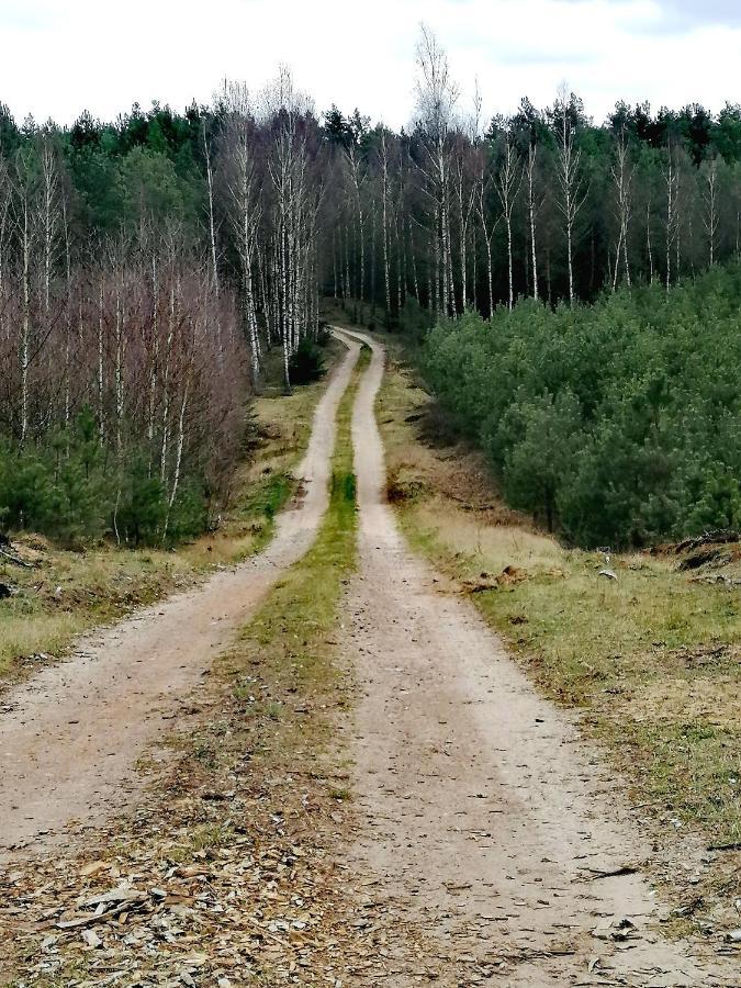 Wodamoja - Apartamenty Nad Jeziorem Stawiguda Eksteriør billede
